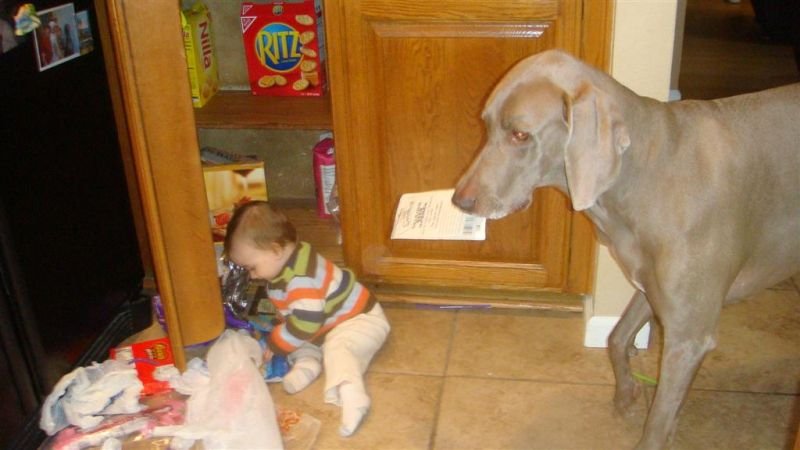 Trey & Shadow - Partners in Crime